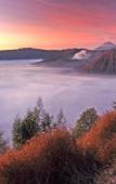 Туры в отель Lava View Lodge Туры в отель Lava View Lodge