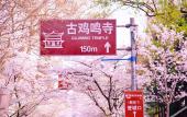 Туры в отель voco NANJING ORIENTAL PEARL by IHG Туры в отель voco NANJING ORIENTAL PEARL by IHG