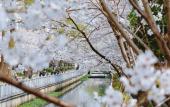 Туры в отель voco NANJING ORIENTAL PEARL by IHG Туры в отель voco NANJING ORIENTAL PEARL by IHG