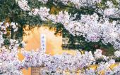 Туры в отель voco NANJING ORIENTAL PEARL by IHG Туры в отель voco NANJING ORIENTAL PEARL by IHG