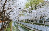 Туры в отель voco NANJING ORIENTAL PEARL by IHG Туры в отель voco NANJING ORIENTAL PEARL by IHG