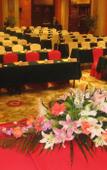 Туры в отель CHEN ZHOU FORTUNATE HOTEL Туры в отель CHEN ZHOU FORTUNATE HOTEL
