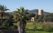 Туры в отель Petit Hotel Sant Miquel - Adults Only Туры в отель Petit Hotel Sant Miquel - Adults Only
