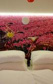 Туры в отель De Bedstee Boutique Capsules Туры в отель De Bedstee Boutique Capsules