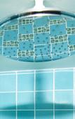 Туры в отель De Bedstee Boutique Capsules Туры в отель De Bedstee Boutique Capsules