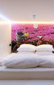 Туры в отель De Bedstee Boutique Capsules Туры в отель De Bedstee Boutique Capsules
