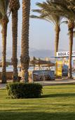 Туры в отель Palm Royale Soma Bay Туры в отель Palm Royale Soma Bay