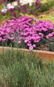 Туры в отель Green Hills Suites Туры в отель Green Hills Suites
