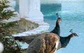 Туры в отель Hotel Finca Los Pilares de Ronda Туры в отель Hotel Finca Los Pilares de Ronda