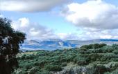 Туры в отель Hotel Finca Los Pilares de Ronda Туры в отель Hotel Finca Los Pilares de Ronda