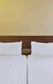 Туры в отель Hotel Rose Lodge Туры в отель Hotel Rose Lodge