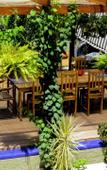 Туры в отель Casa Perpetua hotel d charm Туры в отель Casa Perpetua hotel d charm