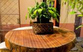 Туры в отель Casa Perpetua hotel d charm Туры в отель Casa Perpetua hotel d charm