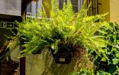 Туры в отель Casa Perpetua hotel d charm Туры в отель Casa Perpetua hotel d charm