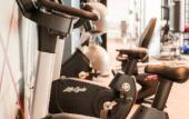 Туры в отель Marriott Fort Lauderdale Airport Туры в отель Marriott Fort Lauderdale Airport