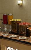 Туры в отель Hotel Elysian Residency Туры в отель Hotel Elysian Residency