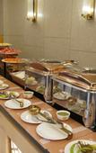 Туры в отель Hotel Elysian Residency Туры в отель Hotel Elysian Residency