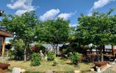 Туры в отель Gyeongju Ran Hanok Туры в отель Gyeongju Ran Hanok