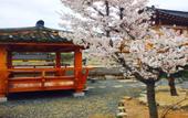 Туры в отель Gyeongju Ran Hanok Туры в отель Gyeongju Ran Hanok