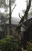 Туры в отель Elephant Passage Resort Munnar Туры в отель Elephant Passage Resort Munnar