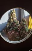 Туры в отель Landison Lanli Hotel Hangzhou Туры в отель Landison Lanli Hotel Hangzhou