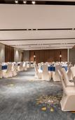 Туры в отель Baodao Forest Hotel (Shanghai Chongming) Туры в отель Baodao Forest Hotel (Shanghai Chongming)