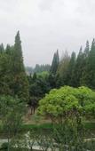 Туры в отель Baodao Forest Hotel (Shanghai Chongming) Туры в отель Baodao Forest Hotel (Shanghai Chongming)