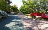 Туры в отель Hub Guest House Туры в отель Hub Guest House