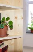 Туры в отель The Green Elephant Hostel & Spa Туры в отель The Green Elephant Hostel & Spa