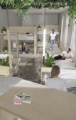 Туры в отель The Green Elephant Hostel & Spa Туры в отель The Green Elephant Hostel & Spa