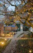 Туры в отель The Green Elephant Hostel & Spa Туры в отель The Green Elephant Hostel & Spa