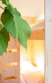 Туры в отель The Green Elephant Hostel & Spa Туры в отель The Green Elephant Hostel & Spa