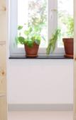 Туры в отель The Green Elephant Hostel & Spa Туры в отель The Green Elephant Hostel & Spa