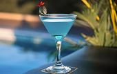 Туры в отель The Twizt Lifestyle Hostel & Hotel Туры в отель The Twizt Lifestyle Hostel & Hotel