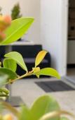 Туры в отель Thalya Luxury Rooms Туры в отель Thalya Luxury Rooms