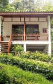 Туры в отель Chareena Beachside Туры в отель Chareena Beachside