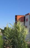 Туры в отель Ibis Auxerre Centre Туры в отель Ibis Auxerre Centre