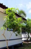Туры в отель Permsuk Resort Туры в отель Permsuk Resort
