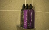 Туры в отель Mercure Hotel Urumqi Railway Bureau Туры в отель Mercure Hotel Urumqi Railway Bureau
