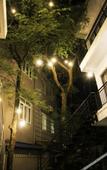 Туры в отель The Bay - Ha Long Homestay Туры в отель The Bay - Ha Long Homestay
