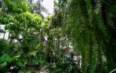Туры в отель Sareeviengping Hotel Chiangmai Туры в отель Sareeviengping Hotel Chiangmai