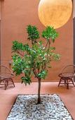 Туры в отель Hotel Orangine Туры в отель Hotel Orangine