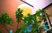 Туры в отель Hotel Orangine Туры в отель Hotel Orangine