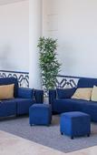 Туры в отель Vilar Oporto Hotel Туры в отель Vilar Oporto Hotel