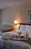 Туры в отель DoubleTree by Hilton Windsor Hotel & Suites Туры в отель DoubleTree by Hilton Windsor Hotel & Suites