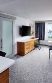 Туры в отель DoubleTree by Hilton Windsor Hotel & Suites Туры в отель DoubleTree by Hilton Windsor Hotel & Suites