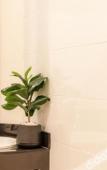Туры в отель The Dorm Hostel Туры в отель The Dorm Hostel