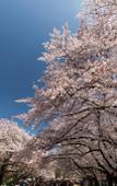 Туры в отель fav TOKYO NISHINIPPORI Туры в отель fav TOKYO NISHINIPPORI