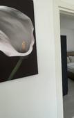 Туры в отель Alya Rooms Туры в отель Alya Rooms