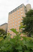 Туры в отель Toolo Towers Туры в отель Toolo Towers